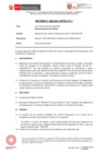 Vista preliminar de documento IF-088-2021