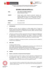 Vista preliminar de documento IF-094-2021