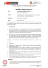 Vista preliminar de documento IF-096-2021