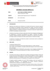 Vista preliminar de documento IF-104-2021