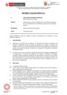 Vista preliminar de documento IF-132-2021