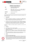 Vista preliminar de documento IF-135-2021