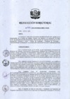 Vista preliminar de documento RD 224-2018