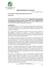 Vista preliminar de documento OM_015-2021-MPV