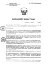 Vista preliminar de documento RD 145-2021-SA-DG-INR.pdf