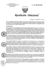 Vista preliminar de documento RD 155-2021-SA-DG-INR.pdf