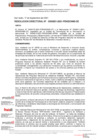 Vista preliminar de documento Resolución Directoral