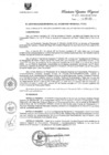 Vista preliminar de documento R.E.R. Nro 345-2021-GR-GR PUNO.pdf