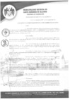 Vista preliminar de documento RESOLUCION DE ALCALDIA N167-21-AL-MDSDO-H.pdf