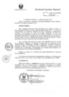 Vista preliminar de documento R.E.R. Nro 336-2021-GR-GR PUNO.pdf