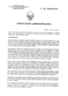 Vista preliminar de documento RA 001-2021-OEA-INR.pdf