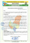 Vista preliminar de documento RA 445-2019.pdf