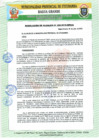 Vista preliminar de documento RA 458-2019.pdf