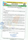 Vista preliminar de documento RA 463-2019.pdf