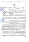 Vista preliminar de documento RD N°0011-2020.pdf