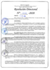 Vista preliminar de documento RD N°0022-2020.pdf