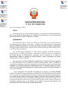 Vista preliminar de documento Resolución