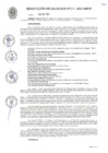 Vista preliminar de documento RESOLUCION DE ALCALDIA N° 358-2021-MPCP