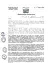 Vista preliminar de documento R.D. Nº 035-HNAL/D-2020 