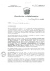 Vista preliminar de documento R.A. Nº 075-2020-HNAL/P 