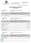 Vista preliminar de documento Resultado final CAS 02-2020