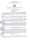 Vista preliminar de documento RD N°0080-2020.pdf
