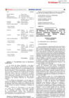 Vista preliminar de documento DS247_2021EF.pdf