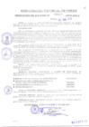 Vista preliminar de documento REA0110-2010