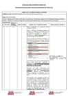 Vista preliminar de documento Pliego de Absolución de Consultas y/u Observaciones