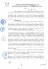 Vista preliminar de documento REA0541-2010