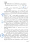 Vista preliminar de documento REA0537-2010