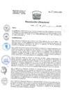 Vista preliminar de documento R.D. Nº 096-HNAL/D-2020