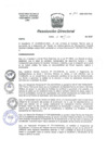 Vista preliminar de documento R.D. Nº 102-2020-DG/HNAL