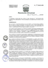 Vista preliminar de documento R.D. Nº 103-HNAL/D-2020