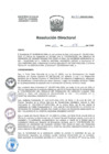 Vista preliminar de documento R.D. Nº 131-2020-DG-HNAL