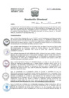 Vista preliminar de documento R.D. Nº 132-2020-DG-HNAL