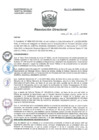 Vista preliminar de documento R.D. Nº 134-2020-DG/HNAL