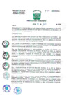 Vista preliminar de documento R.D. Nº 125-2020-DG/HNAL
