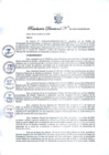 Vista preliminar de documento RESOLUCIÓN DIRECTORAL N° 0209-2020-MIDIS-P65-DE 
