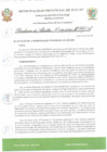 Vista preliminar de documento R.A 095.pdf