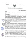 Vista preliminar de documento RDE N° 022-2019-HNAL-OEA.pdf