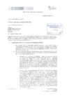 Vista preliminar de documento Opinión del CNE enviada al Ministerio de Educación sobre las precisiones al Currículo Nacional de la Educación Básica.