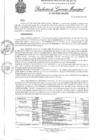 Vista preliminar de documento N° 119-2020-GM-MDI.pdf