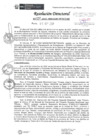Vista preliminar de documento Resolución Directoral N°339-2021-MIDAGARI-PEBLT-DE.pdf