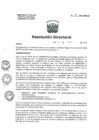 Vista preliminar de documento R.D.E. N° 108-2019-HNAL/D