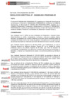 Vista preliminar de documento Resolución Directoral