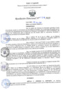 Vista preliminar de documento RD N°174-2020.pdf