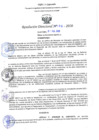 Vista preliminar de documento RD N°0195-2020.pdf