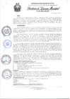 Vista preliminar de documento N°207-2021.pdf