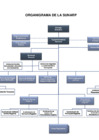 Vista preliminar de documento Organigrama de la Sunarp